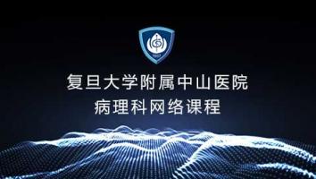 中山医院远程教学